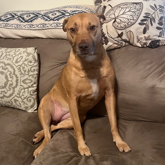 Meet your Posher, Stephanie - Picture 13 of 17